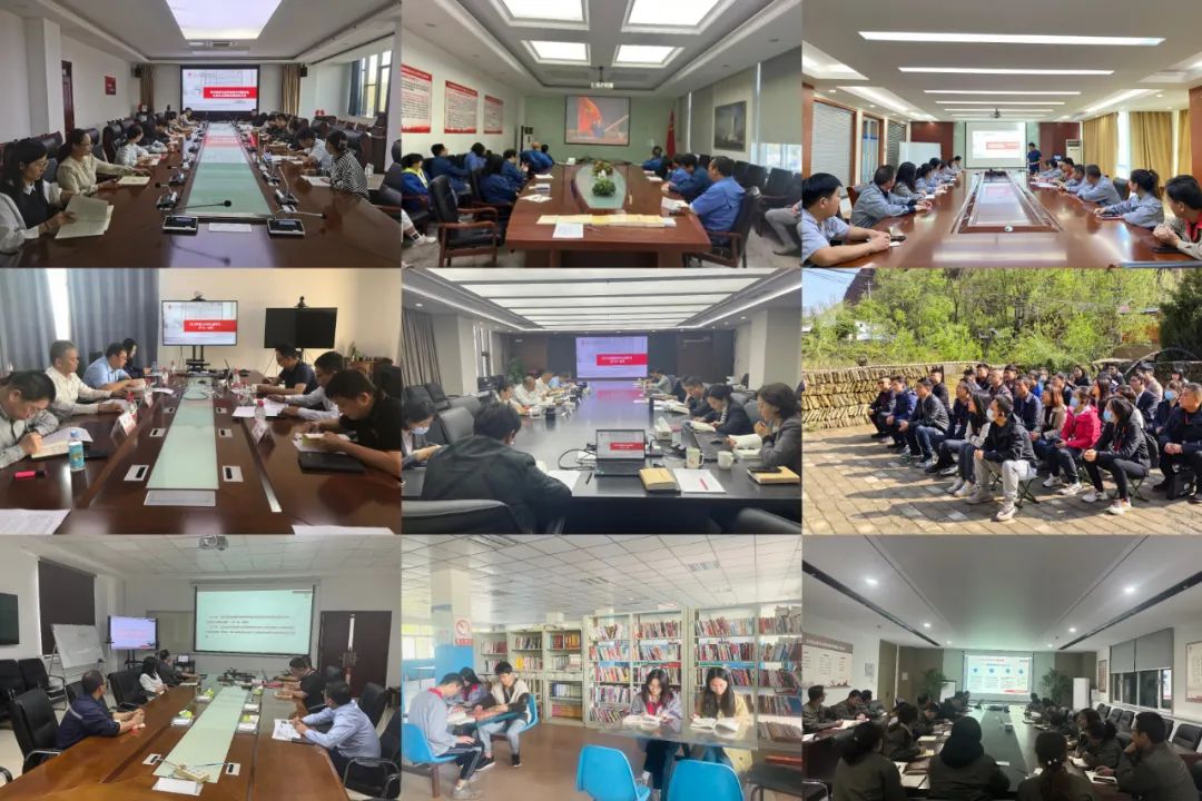 		践行党的二十大精神 | 中材高新：谋篇结构 赢得生长_企业动态_优德88集团有限公司	