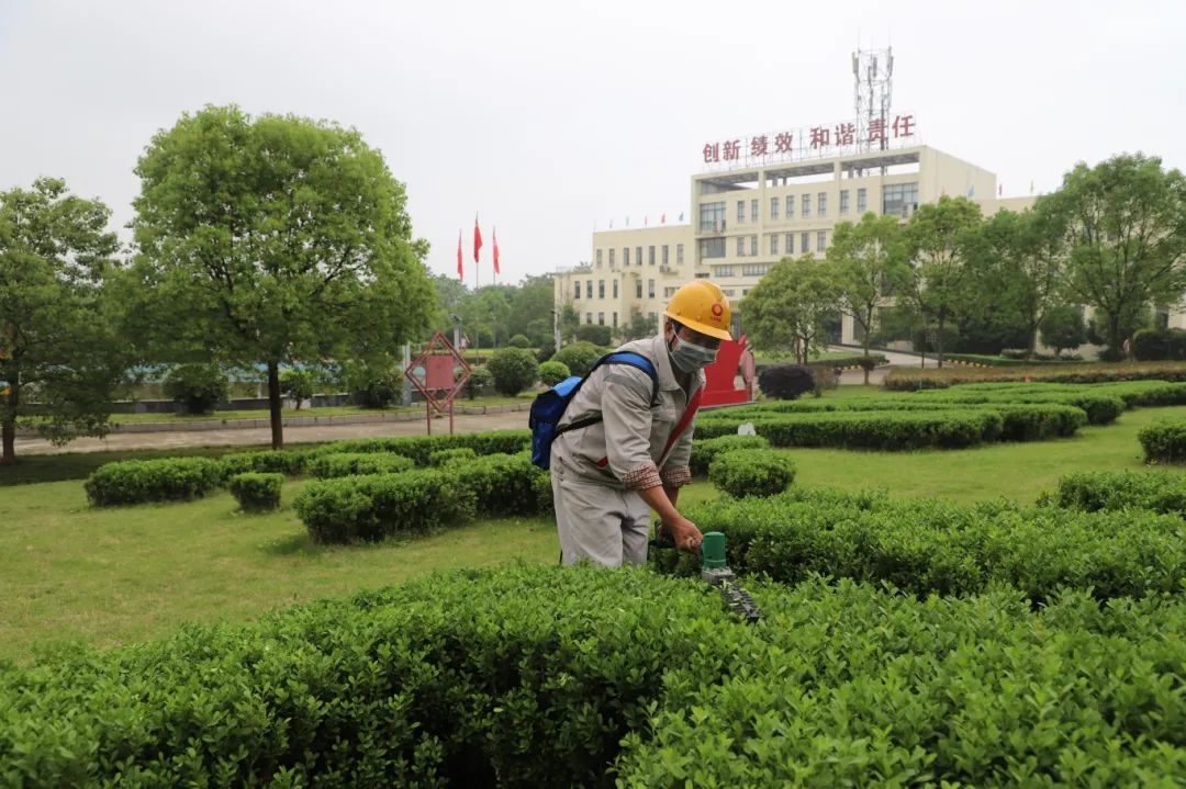 		方寸之地，，，，“位”你而来 | 快来PICK建材人心中的最美工位吧！_责任与文化_优德88集团有限公司	