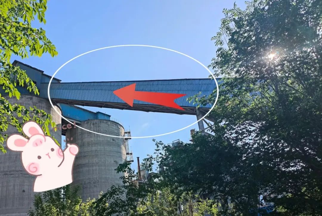 		速来围观！。⌒陆嗉业摹跋匝郯崩戳薩企业动态_优德88集团有限公司	