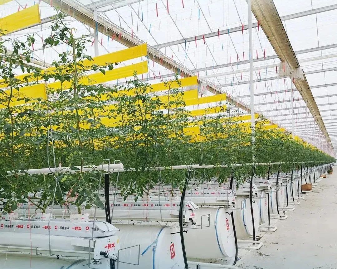		 创价值 谱新篇 | 天下首台（套）装备实现工业应用、ENR榜单排名再立异高、荣获种种行业奖项…… _企业动态_优德88集团有限公司	