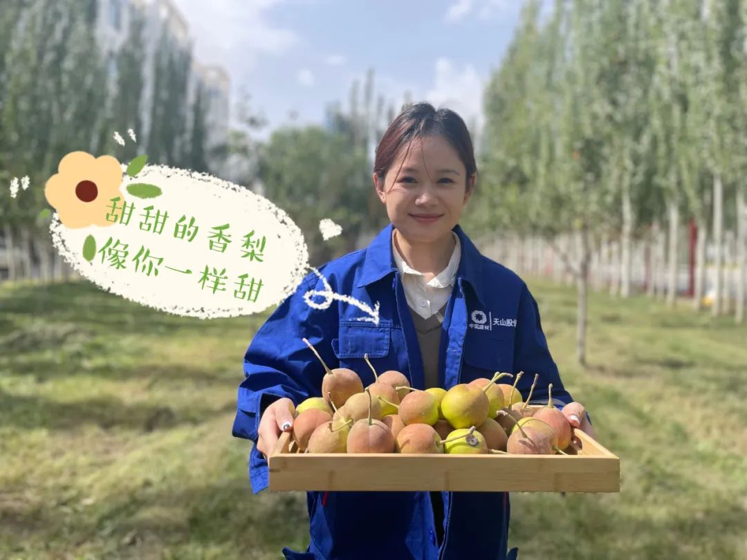 		 大丰收！来新疆天山水泥厂开心农场尝尝“秋”的味道~ _责任与文化_优德88集团有限公司	