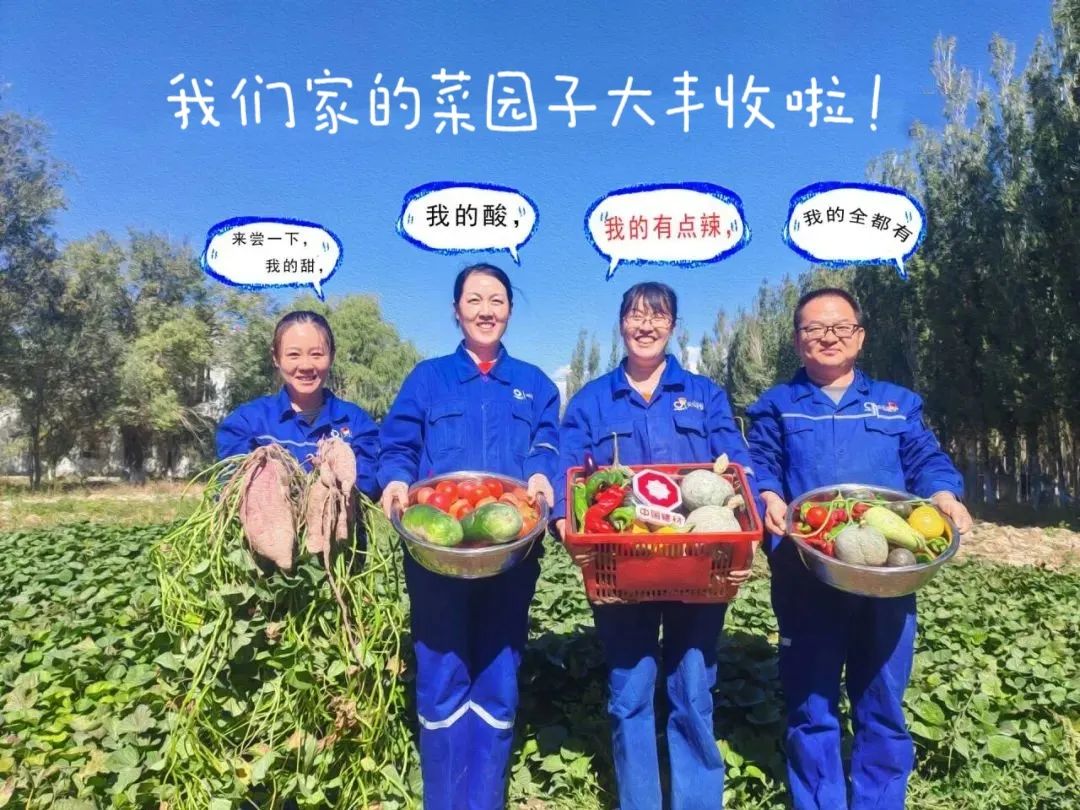 		 大丰收！来新疆天山水泥厂开心农场尝尝“秋”的味道~ _责任与文化_优德88集团有限公司	