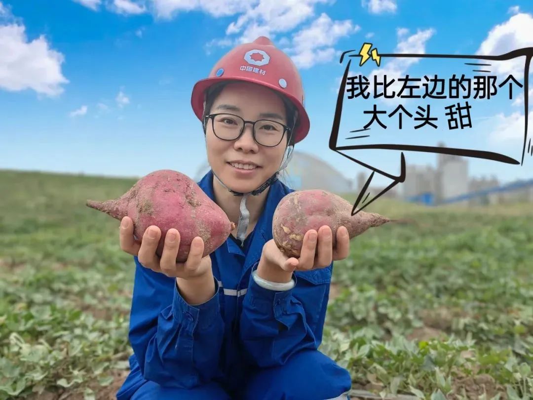 		 大丰收！来新疆天山水泥厂开心农场尝尝“秋”的味道~ _责任与文化_优德88集团有限公司	