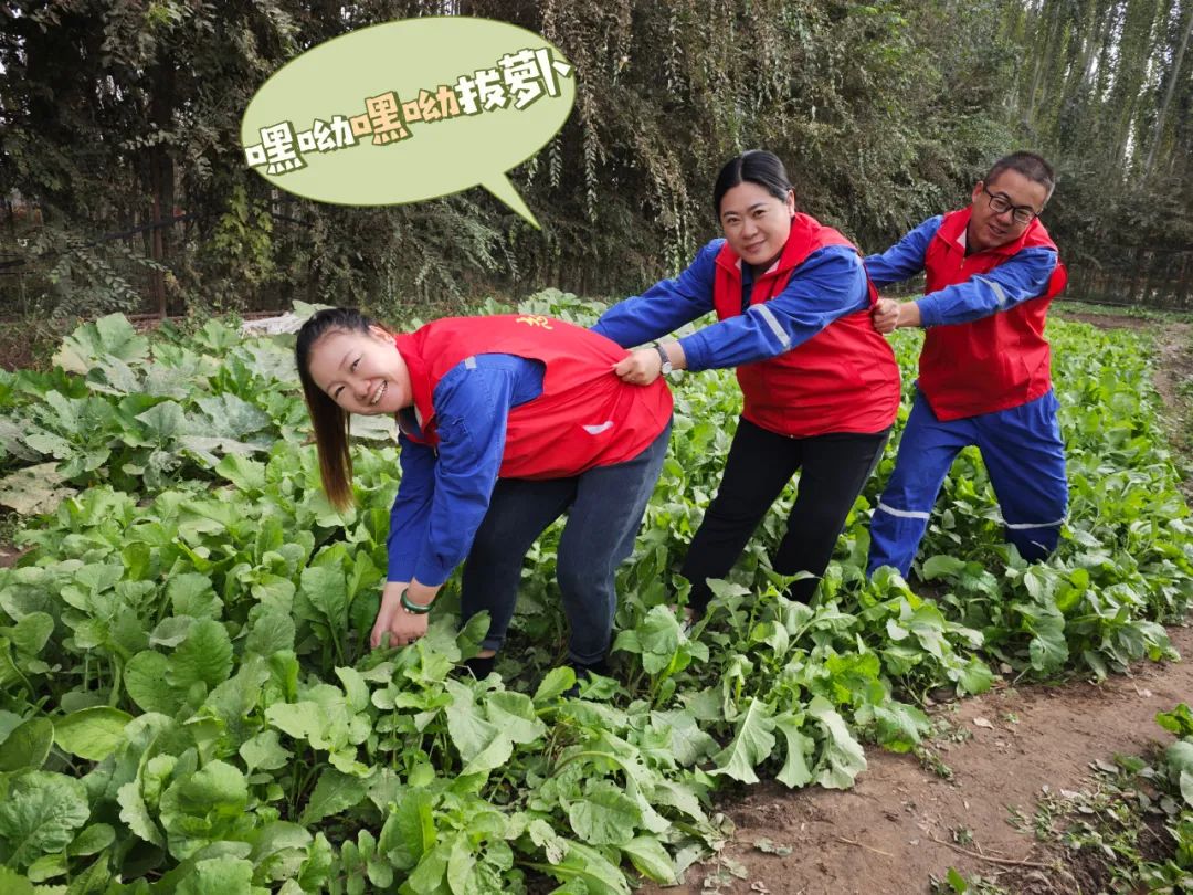 		 大丰收！来新疆天山水泥厂开心农场尝尝“秋”的味道~ _责任与文化_优德88集团有限公司	