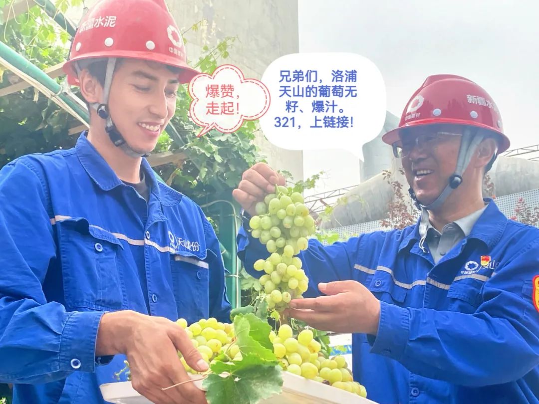 		 大丰收！来新疆天山水泥厂开心农场尝尝“秋”的味道~ _责任与文化_优德88集团有限公司	