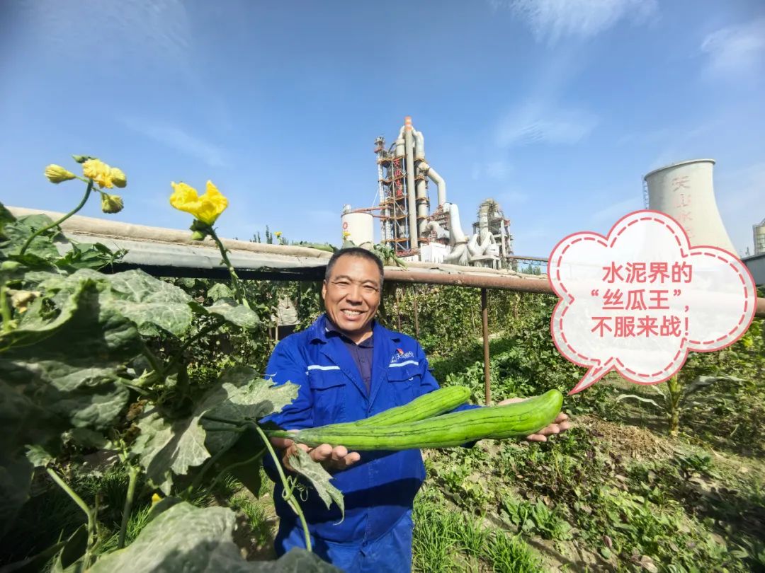 		 大丰收！来新疆天山水泥厂开心农场尝尝“秋”的味道~ _责任与文化_优德88集团有限公司	
