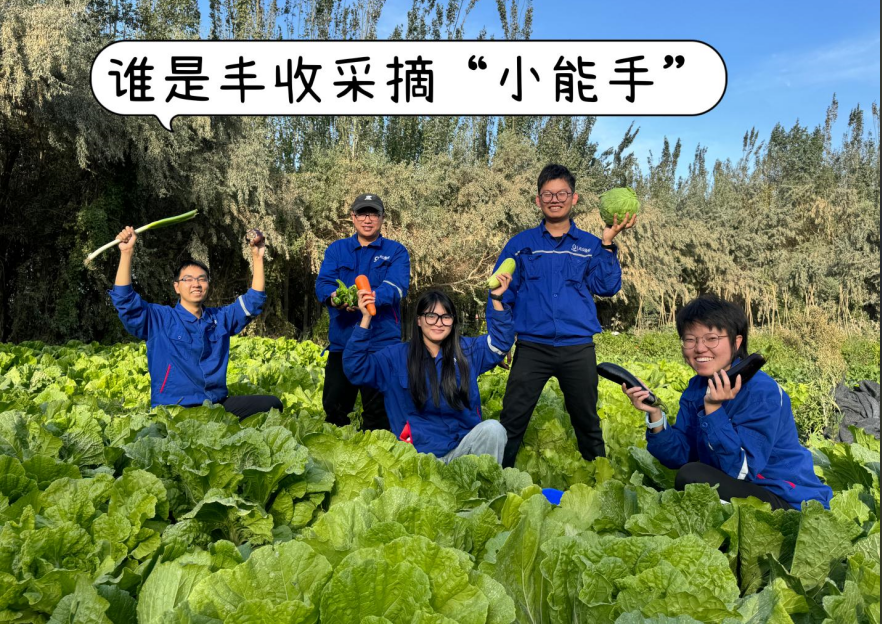 		 大丰收！来新疆天山水泥厂开心农场尝尝“秋”的味道~ _责任与文化_优德88集团有限公司	