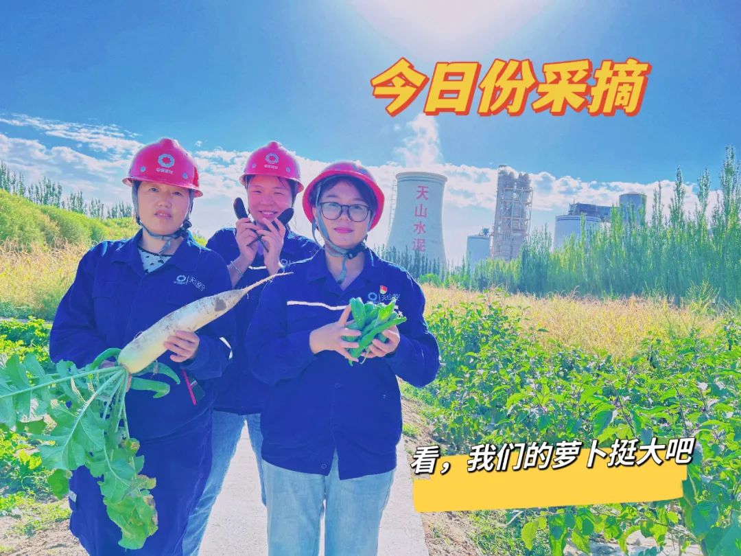 		 大丰收！来新疆天山水泥厂开心农场尝尝“秋”的味道~ _责任与文化_优德88集团有限公司	