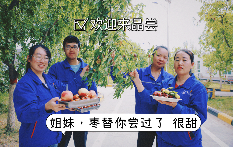 		 大丰收！来新疆天山水泥厂开心农场尝尝“秋”的味道~ _责任与文化_优德88集团有限公司	
