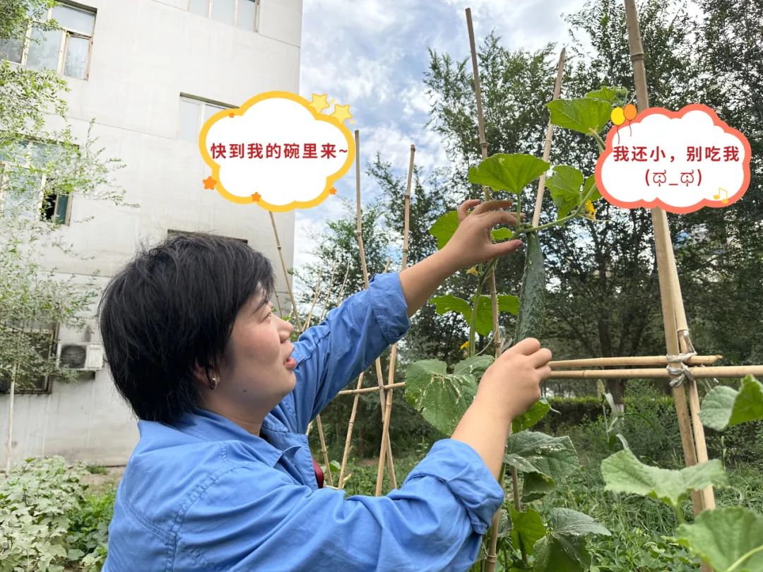 		 大丰收！来新疆天山水泥厂开心农场尝尝“秋”的味道~ _责任与文化_优德88集团有限公司	