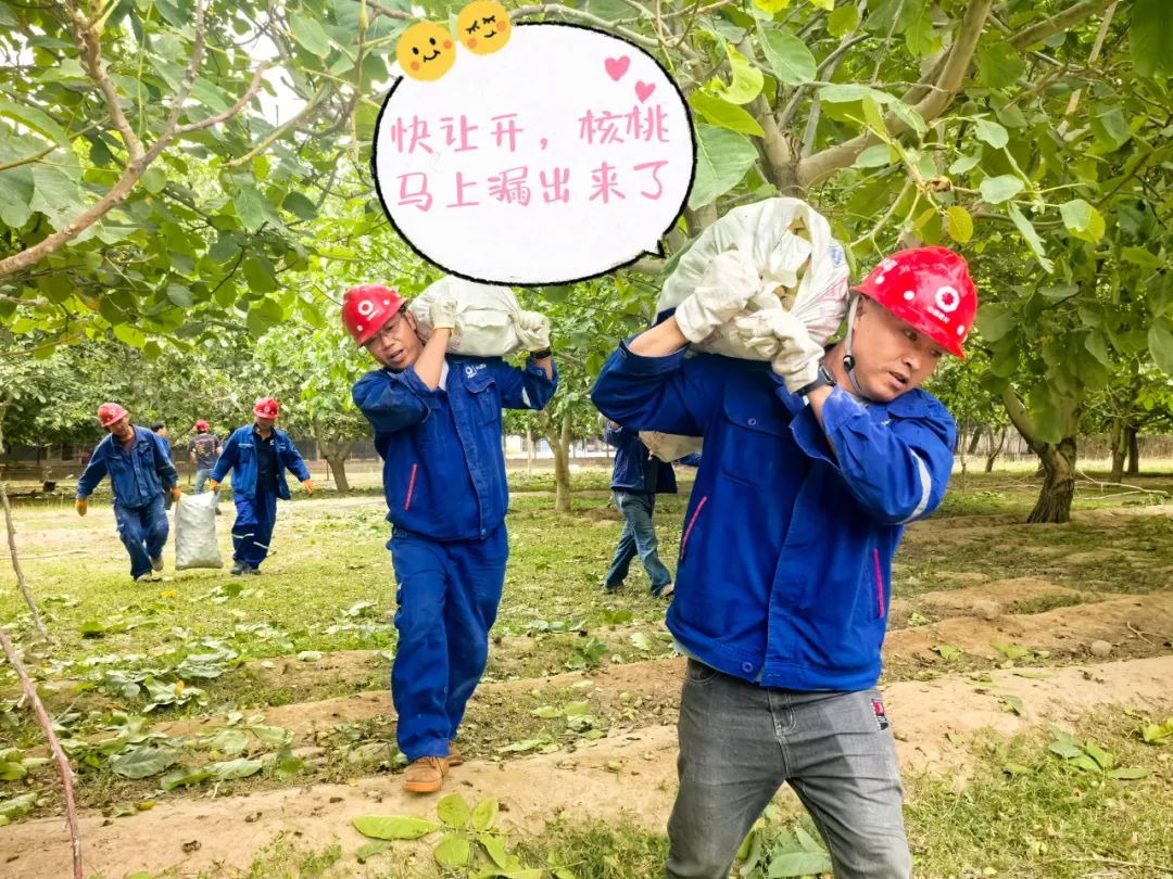 		 大丰收！来新疆天山水泥厂开心农场尝尝“秋”的味道~ _责任与文化_优德88集团有限公司	