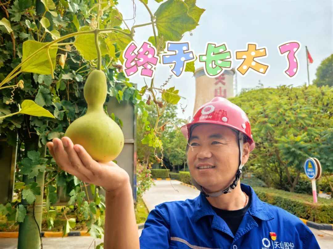 		 大丰收！来新疆天山水泥厂开心农场尝尝“秋”的味道~ _责任与文化_优德88集团有限公司	