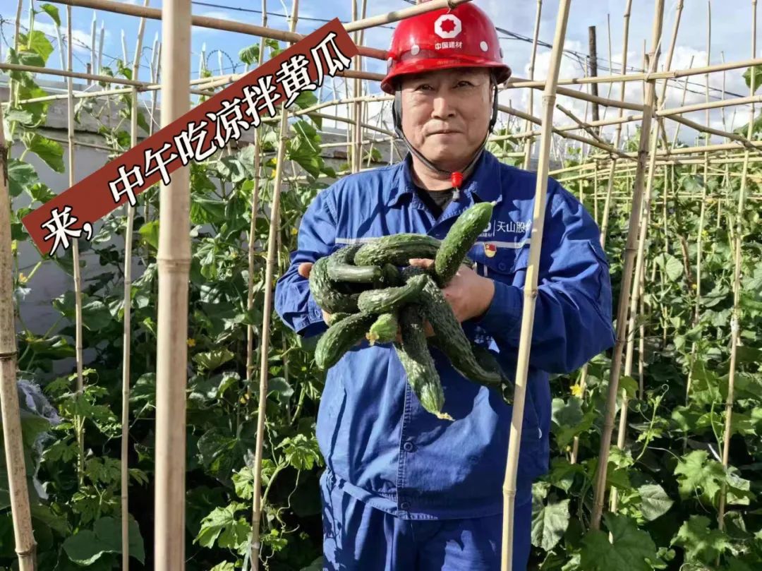 		 大丰收！来新疆天山水泥厂开心农场尝尝“秋”的味道~ _责任与文化_优德88集团有限公司	
