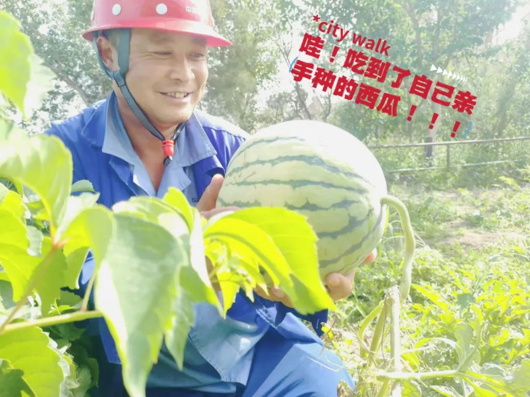		 大丰收！来新疆天山水泥厂开心农场尝尝“秋”的味道~ _责任与文化_优德88集团有限公司	