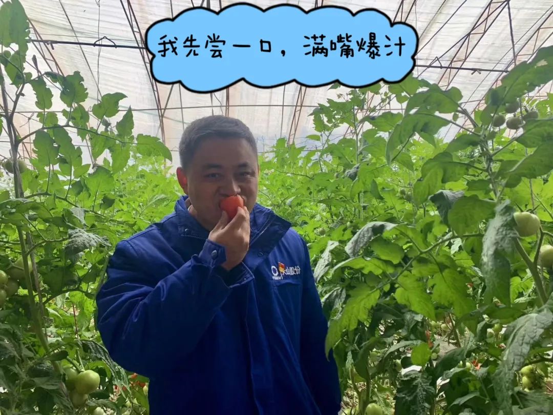 		 大丰收！来新疆天山水泥厂开心农场尝尝“秋”的味道~ _责任与文化_优德88集团有限公司	