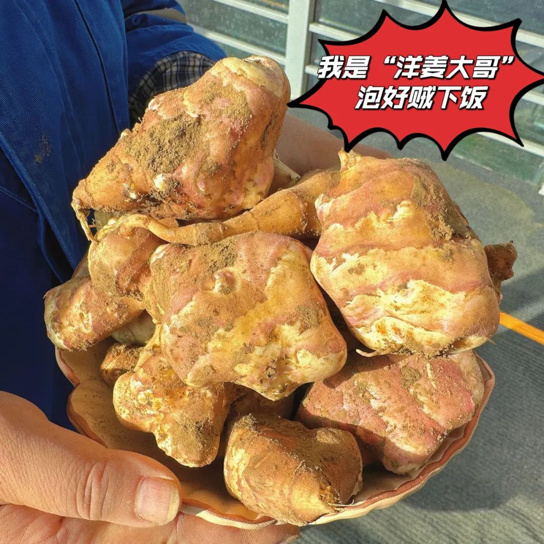 		 大丰收！来新疆天山水泥厂开心农场尝尝“秋”的味道~ _责任与文化_优德88集团有限公司	