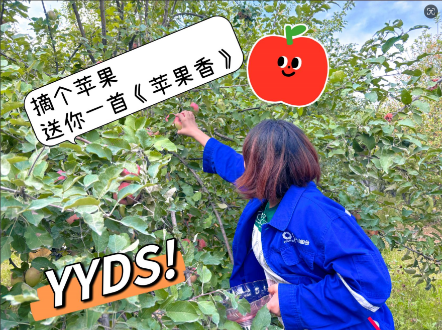 		 大丰收！来新疆天山水泥厂开心农场尝尝“秋”的味道~ _责任与文化_优德88集团有限公司	