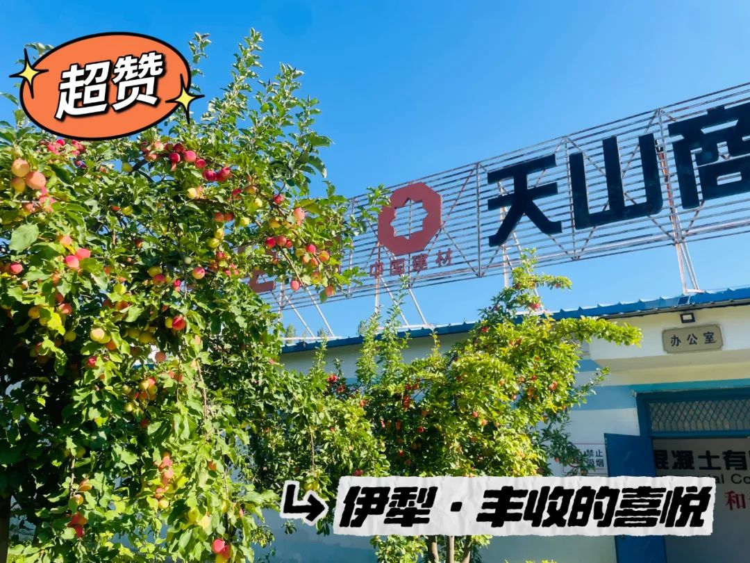 		 大丰收！来新疆天山水泥厂开心农场尝尝“秋”的味道~ _责任与文化_优德88集团有限公司	