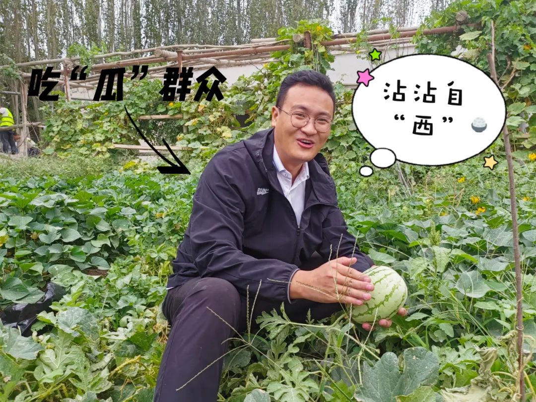 		 大丰收！来新疆天山水泥厂开心农场尝尝“秋”的味道~ _责任与文化_优德88集团有限公司	