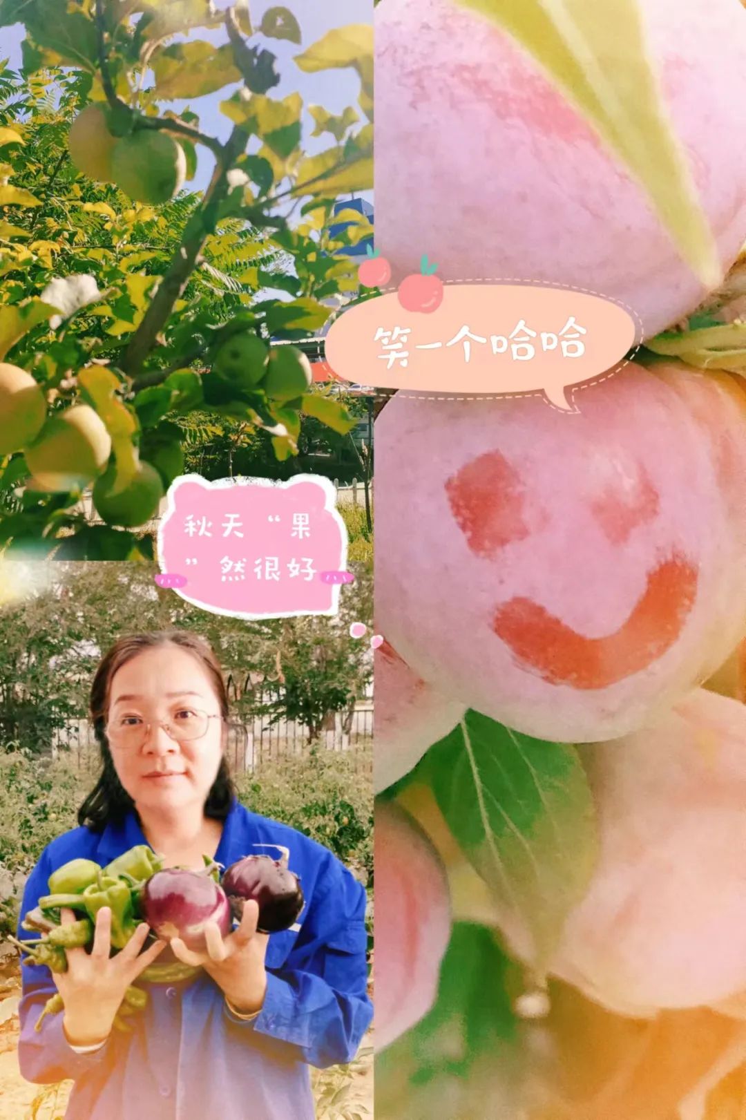 		 大丰收！来新疆天山水泥厂开心农场尝尝“秋”的味道~ _责任与文化_优德88集团有限公司	