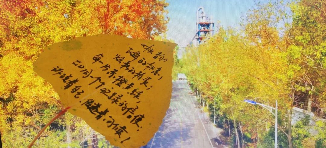 		 优德88 | 捉住秋的尾巴，，，，，，感受建材人的诗意浪漫~ _企业动态_优德88集团有限公司	
