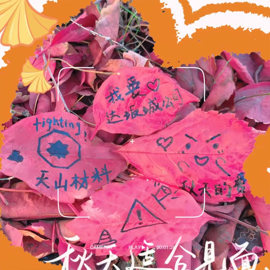 		 优德88 | 捉住秋的尾巴，，，，，，感受建材人的诗意浪漫~ _企业动态_优德88集团有限公司	