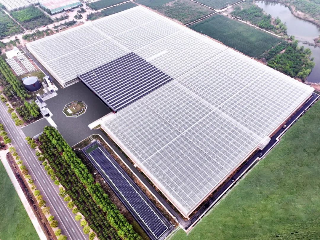 		中央企业先进整体 | 优德88工程集团：奋力谱写天下一流国际工程公司高质量生长新篇章_企业动态_优德88集团有限公司	