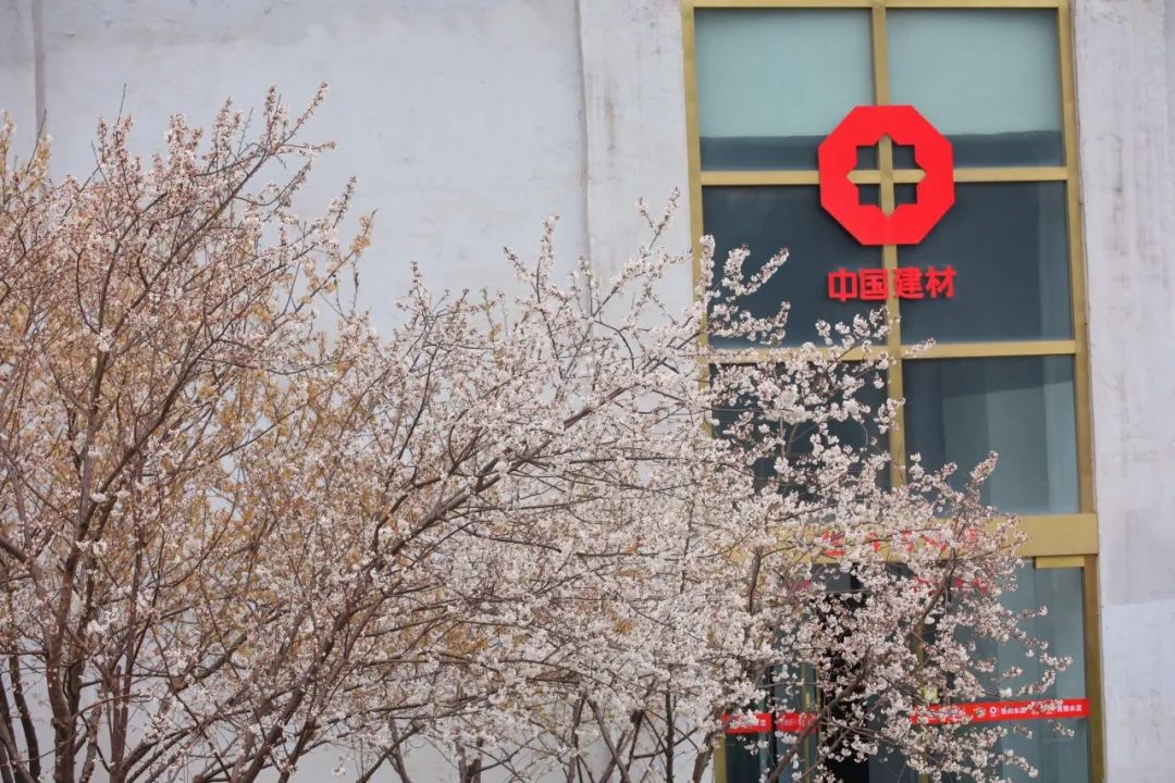 		清明·踏青 | 粉了！中建材的工业美学遇上春日浪漫~_责任与文化_优德88集团有限公司	