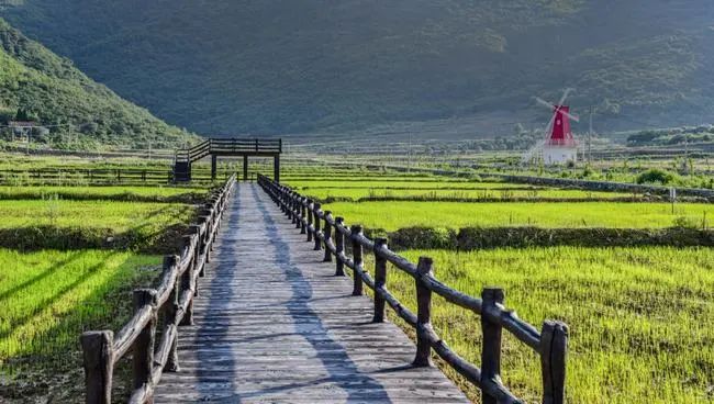 		先进整体 | 67岁山河南方水泥：用“花园矿山”托起国家级绿色标杆~_企业动态_优德88集团有限公司	